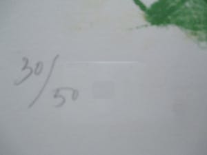 Martin Engelman - Grote ingelijste litho kopen? Bied vanaf 50!