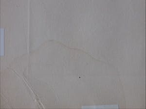 Ab Steenvoorden - Vrouw met vreemde ruimtewezens - Ets kopen? Bied vanaf 1!