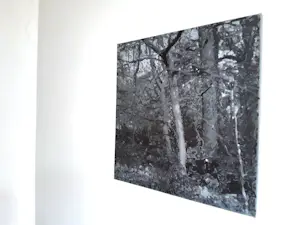 Erwin van Krey - Wald kopen? Bied vanaf 350!