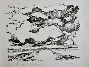 Jan Homan - Litho Friesland kopen? Bied vanaf 10!