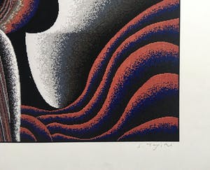 Shinkichi Tajiri - zeldzame knoop - gesigneerde computerprint - incl. originele bewaarmap kopen? Bied vanaf 150!