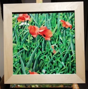 Willem Visser - Klaprozen 1 kopen? Bied vanaf 99!