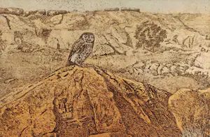 Han van Hagen - Extremadura 1 kopen? Bied vanaf 60!