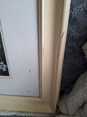 Peter Motz - Tuintafereel kopen? Bied vanaf 300!