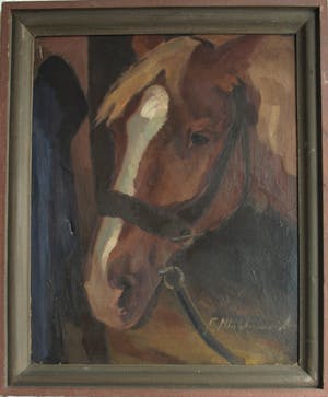 Niet of onleesbaar gesigneerd - Olieverf op doek , “Portret Paard” – gesigneerd & ingelijst kopen? Bied vanaf 10!