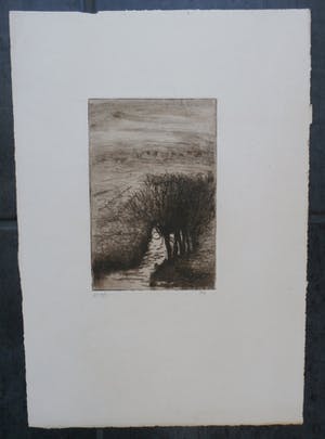 Frederika Broeksmit - Ets: Slootje met een rijtje knotwilgen in een landschap kopen? Bied vanaf 50!