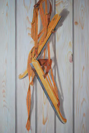 Ruud Dekker - Friese doorlopers- hyperrealisme - handgemaakte lijst - kopen? Bied vanaf 1!