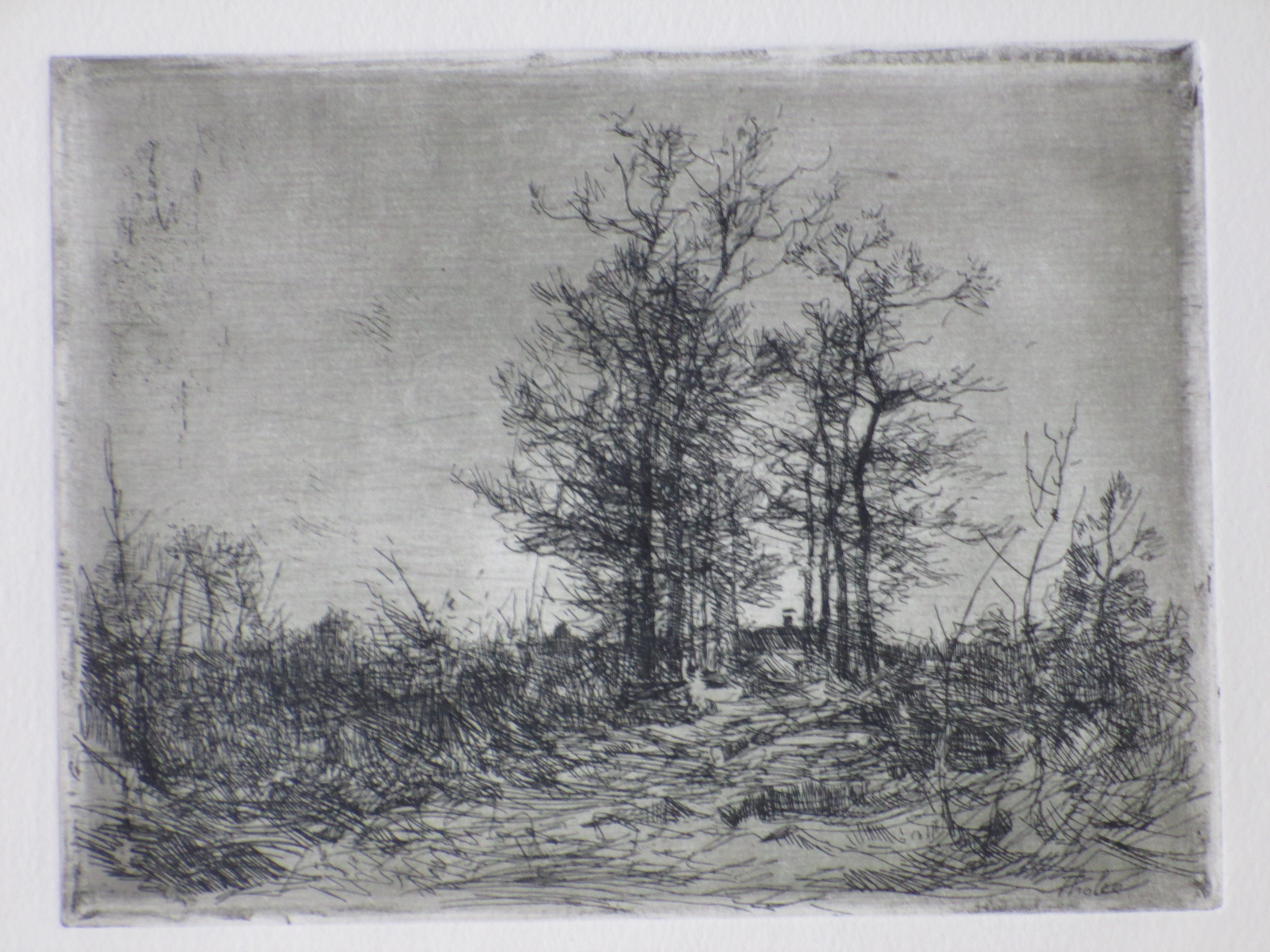 Willem Bastiaan Tholen - Laantje bij Ewijkshoeve - Ets kopen? Bied vanaf 35!