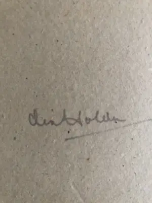 Joop den Holder - Jonge vogel kopen? Bied vanaf 125!