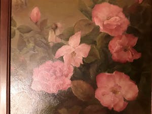 Jan Pzn. Franken - Romantische bloemen kopen? Bied vanaf 40!