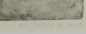 Trees de Vries - Ets en aquatint, Zonder titel - Ingelijst kopen? Bied vanaf 1!