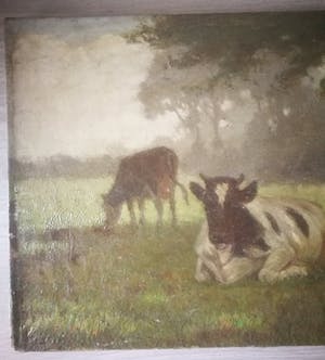 Evert Rabbers - Koeien in de wei. kopen? Bied vanaf 139!