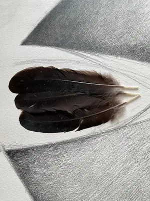 Ger Daniels - De Pijl, tekening collage met veren, hand gesigneerd kopen? Bied vanaf 65!