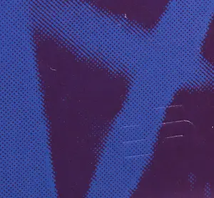 Andy Warhol - San Francisco Silverspot uit de serie Endangered Species - Ingelijst (Groot) kopen? Bied vanaf 1!