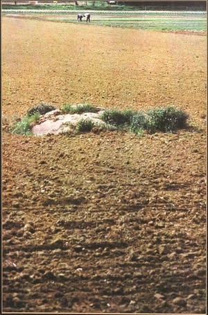 Paul Huf - C-Print, Zonder titel - Ingelijst kopen? Bied vanaf 1!