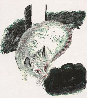 Roger Raveel - Felix vulgaris kopen? Bied vanaf 325!