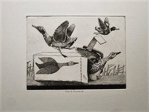 Herman Berserik - Karakteristiek Grafiek - Ets - "Opwind-eend" kleine oplage - potloodgesigneerd kopen? Bied vanaf 30!