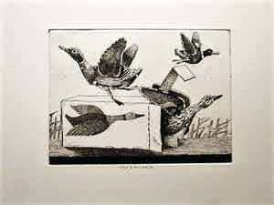 Herman Berserik - Karakteristiek Grafiek - Ets - "Opwind-eend" kleine oplage - potloodgesigneerd verkocht voor € 30!