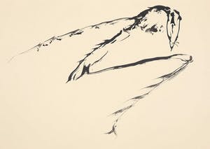 Melle Oldeboerrigter - Inkttekening op papier, z.t. Beweging kopen? Bied vanaf 100!