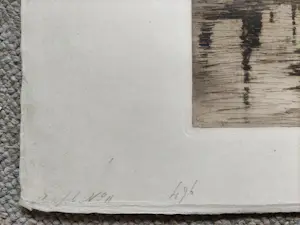 Willem Witsen - West-Indisch Huis kopen? Bied vanaf 600!