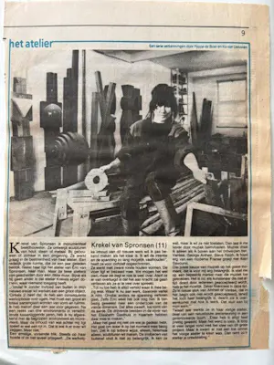 Krekel van Spronsen - Cirkels Environment kopen? Bied vanaf 1000!