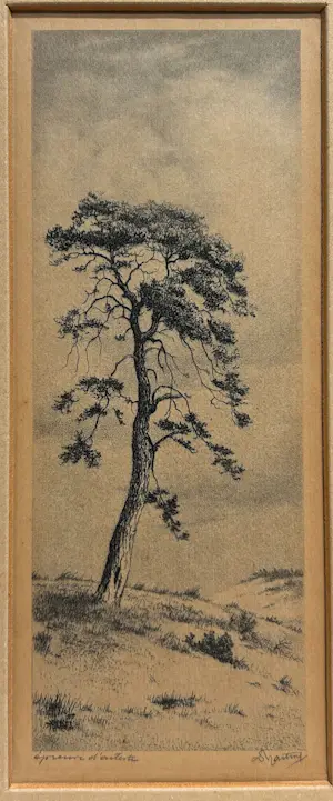 Dirk Harting - Duinlandschap kopen? Bied vanaf 30!