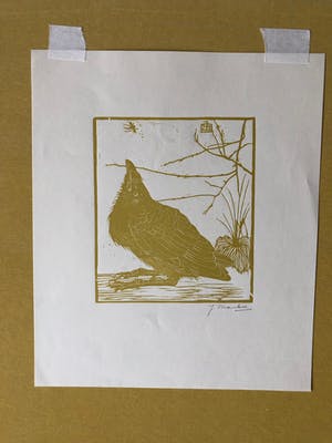 Jan Mankes - Houtsnede kleine kraai kijkend naar mugje - Gesigneerd - 1918 kopen? Bied vanaf 395!