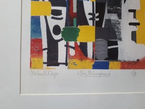 Michael Wyss - Twee kleurrijke en exclusieve zeefdrukken + oevreboek kopen? Bied vanaf 1!