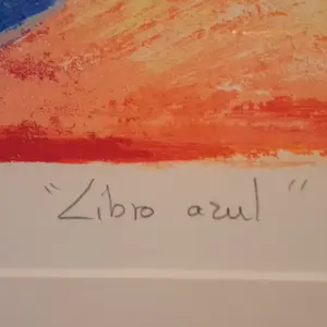 Angeles Nieto - Libro azul kopen? Bied vanaf 225!