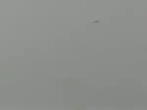 Willem van Veldhuizen - Vrouwelijk naakt kopen? Bied vanaf 150!