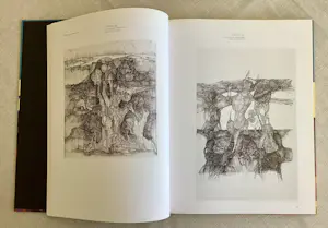 Bert Grotjohann - Verzameld werk 1964 - 2008 kopen? Bied vanaf 30!