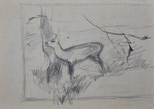 Floris Tiele - 7x diertekening van reeën kopen? Bied vanaf 39!