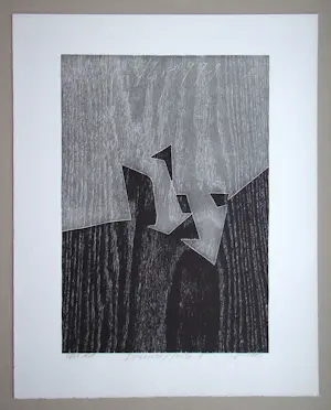 Franz Eggenschwiler - Donnerpfeile II, 1992 - Originele houtsnede, handgesigneerd kopen? Bied vanaf 160!