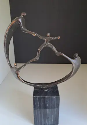 Corry Ammerlaan - Succesvol samenwerken. kopen? Bied vanaf 40!