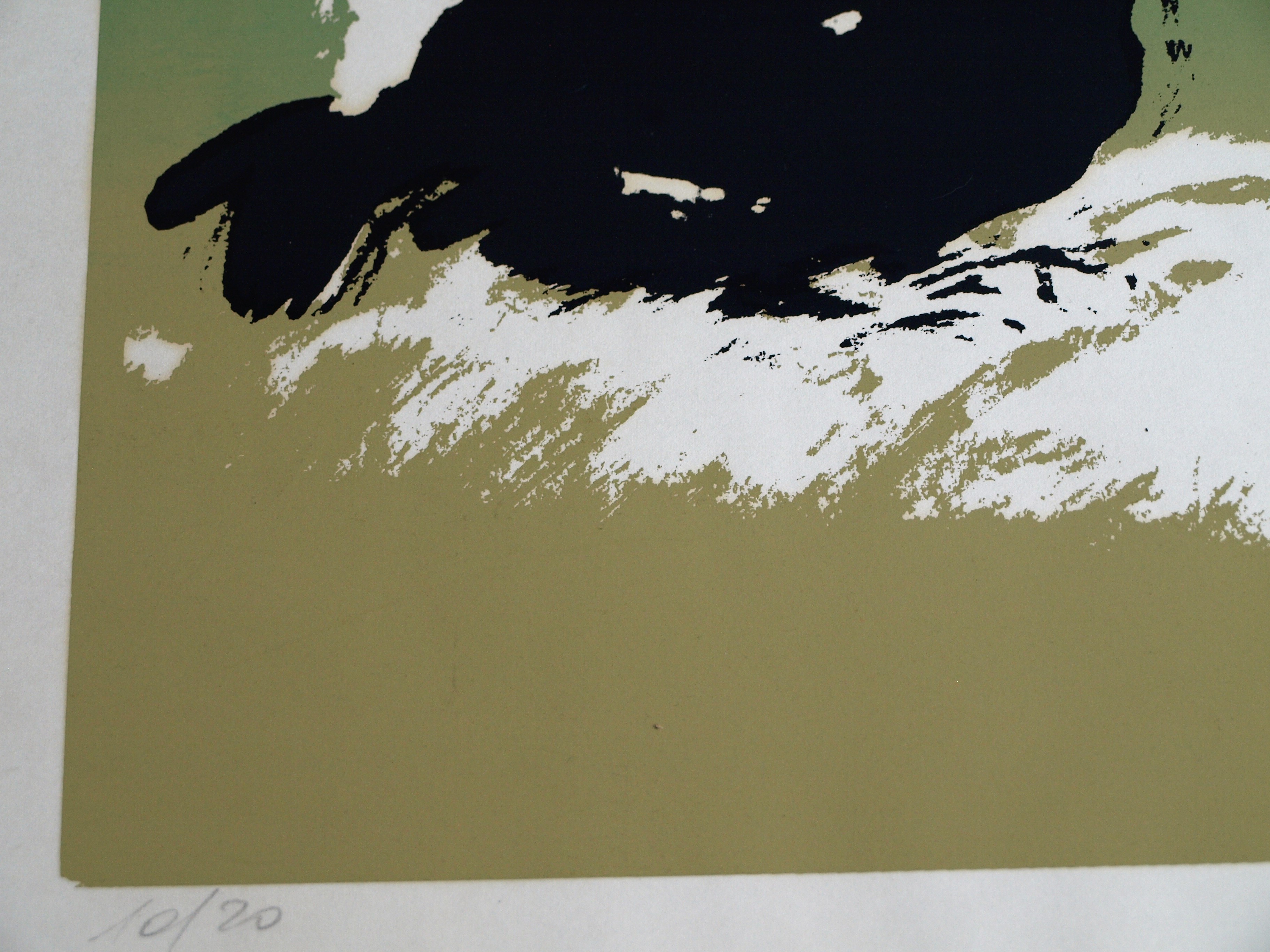 Niet of onleesbaar gesigneerd - Zeefdruk , 2 Zwarte kippen – gesigneerd – 1980 – oplage 10/20 kopen? Bied vanaf 1!