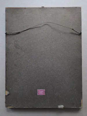 Henriette Hubregtse-Lanzing - Paddestoelen. Vliegenzwammen. kopen? Bied vanaf 89!