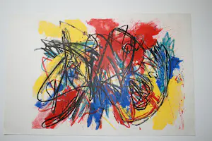 Karel Appel - catalogus Karel Appel hardcover kopen? Bied vanaf 280!