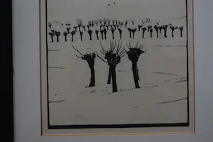 Jan Wittenberg - houtgravure - Knotwilgen kopen? Bied vanaf 110!
