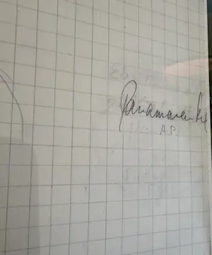 Panamarenko - AP gesigneerde Pepto Bismo kopen? Bied vanaf 1595!