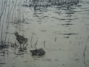 Johan Hemkes - EINEKUORREN kopen? Bied vanaf 35!