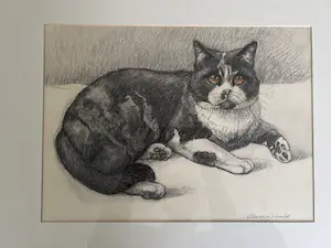 Ella van Schaik - Poes ! kopen? Bied vanaf 1!