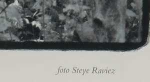 Steye Raviez - Foto, Jan Wolkers - Ingelijst kopen? Bied vanaf 50!