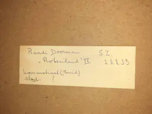 Randi Doorman - Rotseiland II kopen? Bied vanaf 20!