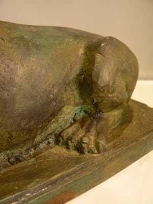 Brons (Onbekend) - Bronzen Leeuw kopen? Bied vanaf 125!