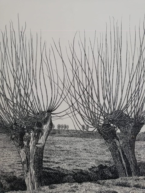 Sees Vlag - Ets getiteld "Polder" - gesigneerd verkocht voor € 35!