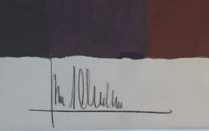 Ton Schulten - Dorpskern kopen? Bied vanaf 295!