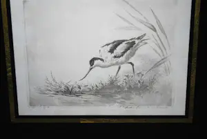 Maarten Langbroek - Kluut - fraai ingelijste ets kopen? Bied vanaf 40!