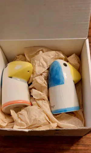 Jan Snoeck - Peper en zoutstel kopen? Bied vanaf 30!