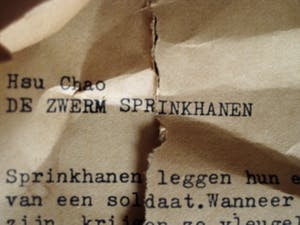 Henk Willemse - ETS geïnspireerd op het Chinees gedicht "Zwerm Sprinkhanen" van Hsu Chao kopen? Bied vanaf 1!