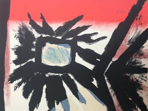 Jan Cox - Originele kleurenlitho - 1978 - 105/150 - Gesigneerd kopen? Bied vanaf 95!